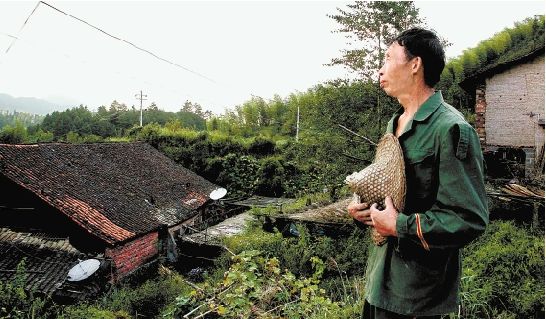 农村老人生活状况调查报告