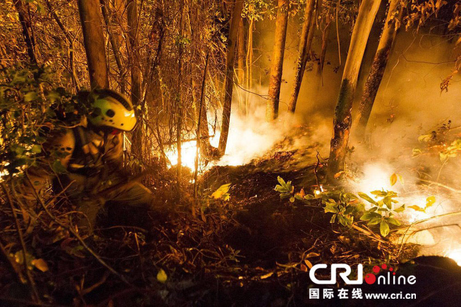 西班牙森林火灾火势严峻 过火面积超200公顷(