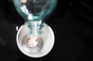 露鸽子蛋造假:用香蕉水浸泡鹌鹑蛋祛斑 对人体