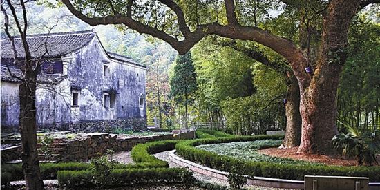 再上逐梦之路 慈溪市美丽乡村建设纪实