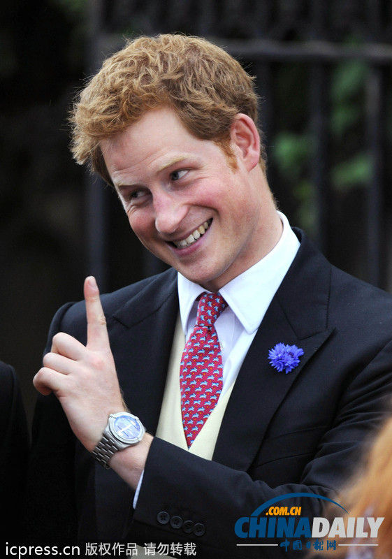 资料:英国哈里王子
