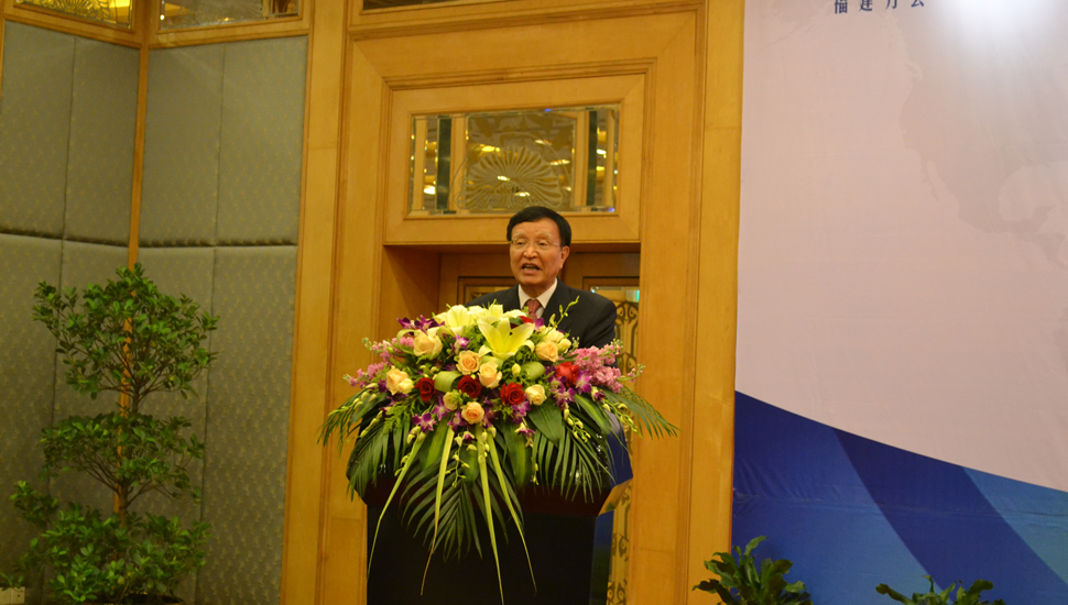 领袖访谈之中国产业海外发展和规划协会福建分
