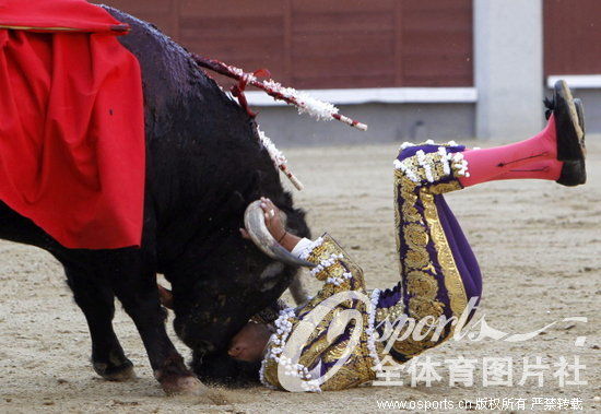 高清:西班牙马德里斗牛赛 斗牛士被公牛挑飞撞