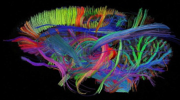 哈佛大学科学家绘制奇异