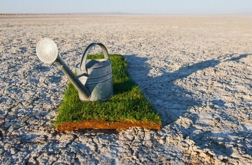 河水盐化:一个全球性的环境问题