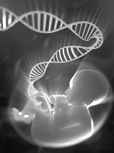 孕妇梦境的双生子之谜,探索未降生之子的寓意与启示 孕妇梦境的双生子之谜,探索未降生之子的寓意与启示