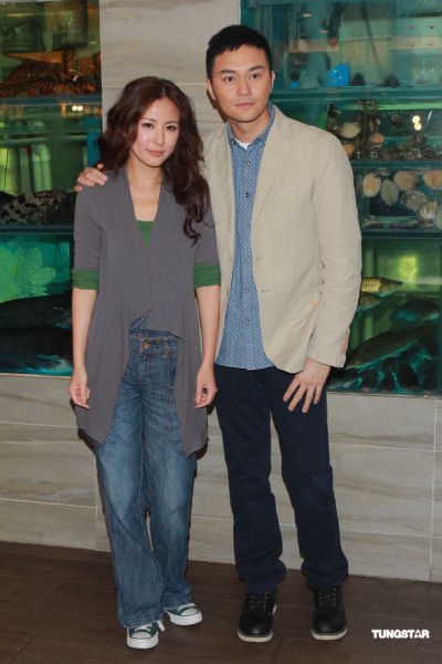 张智霖新碟或延迟推出