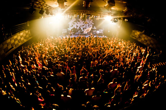反光镜乐队演唱会爆满 全程持续大合唱