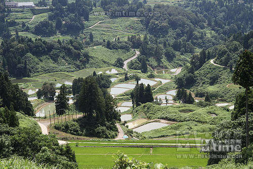 《罗马浴场》日本票房三连冠 《贞子3d》口碑