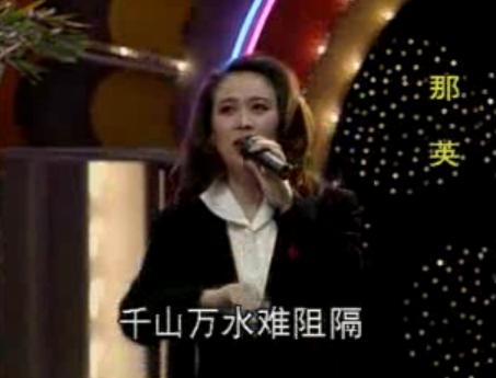 　　1993年那英苏芮谢晓东巫启贤《携手同行》