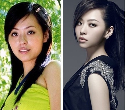 杨幂柳岩熊黛林李小璐张靓颖女星整容前后惊人