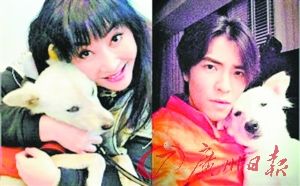 　　疑与富婆女粉丝有关
