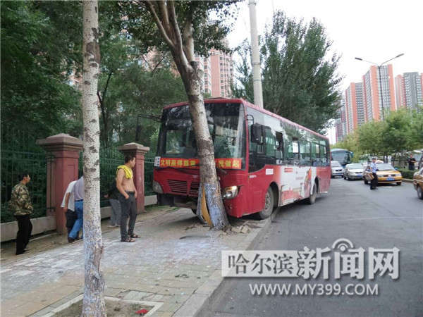 哈爾濱217路公交車躲車撞樹10乘客受傷入院圖