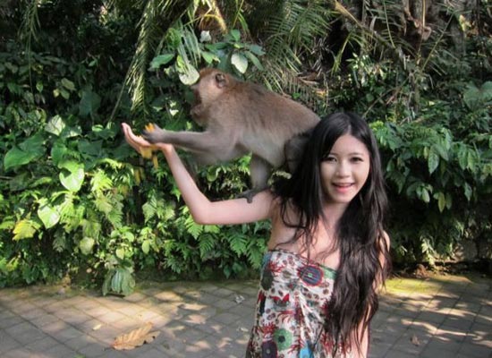 美女双手遮胸,脸上露出尴尬笑容,而伏在她肩头的小猴子,则从上面往下