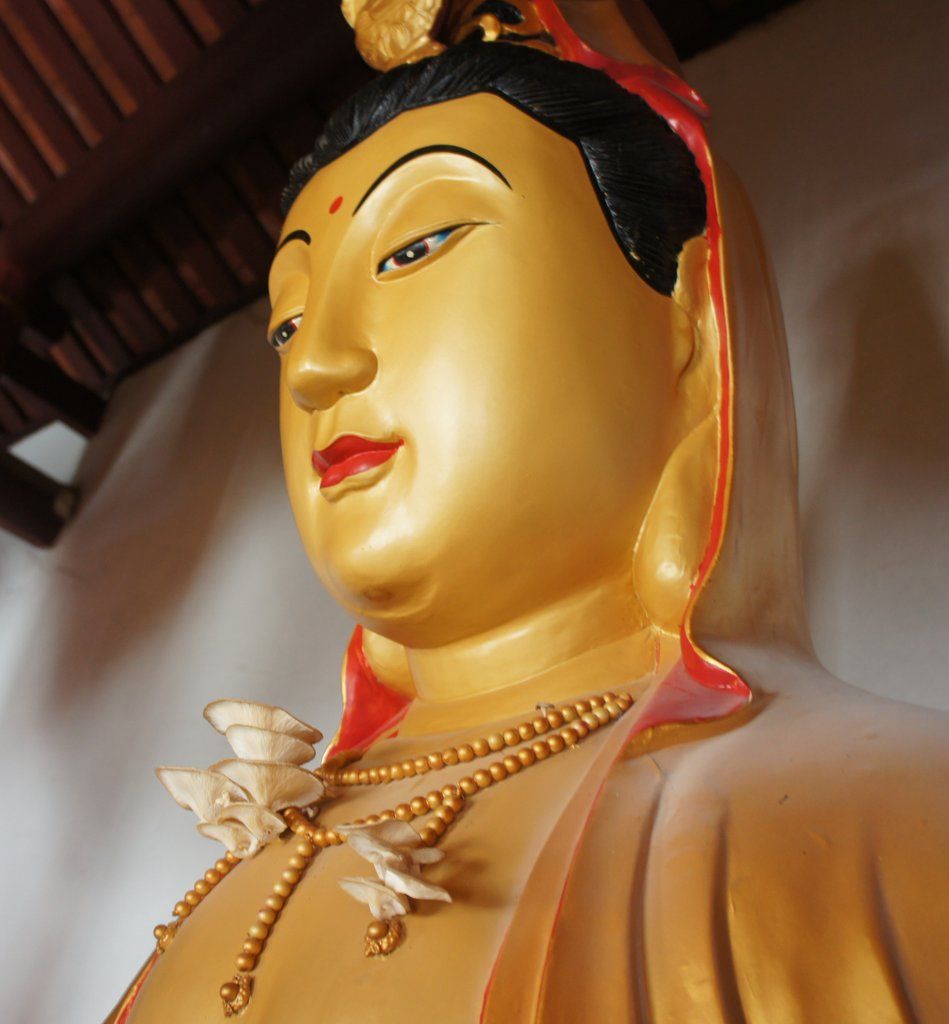 【转载】观音像长出百余朵蘑菇 似"祥云"引围观