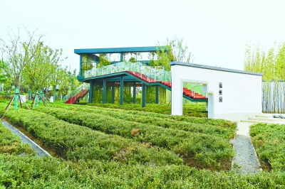 醴陵茶田月色生态乐园图片