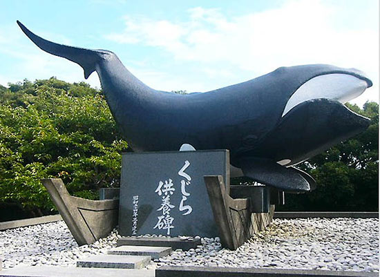 日本海豚湾太地町图片