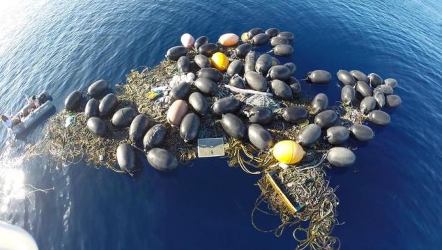 太平洋现垃圾岛塑料片聚集成礁岩