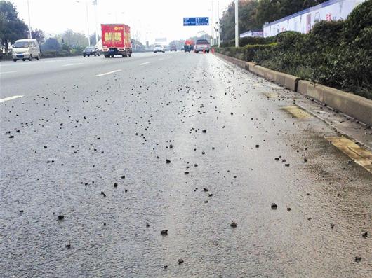 宜昌:路面被小石子铺满 城管部门表示将进行调查(图)