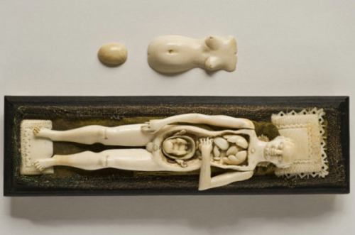 揭密维多利亚时代的人体内脏解剖图