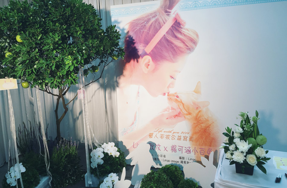自杀女星杨可涵追思会 男友憔悴落泪-凤凰新闻