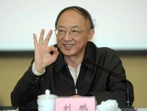 里约备战进入冲刺阶段 刘鹏:六大优势项受严重冲击|里约|刘鹏_凤凰体育
