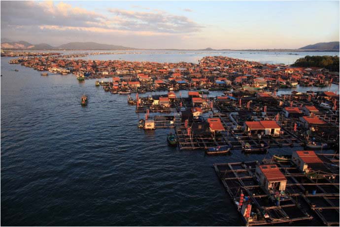 三亚疍家人 三亚疍家人烧烤