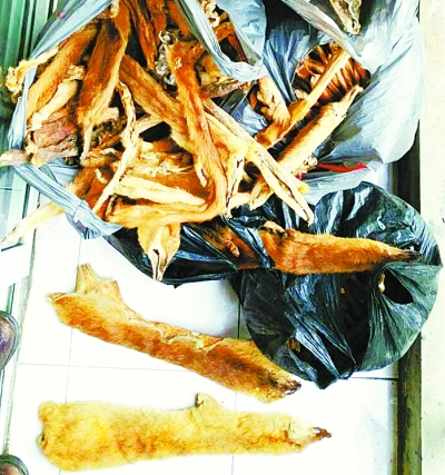 三男子以黄鼠狼皮冒充貂皮 "自卖自买"施连环计