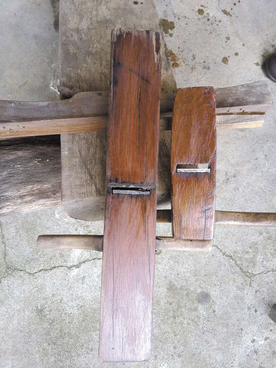 临海兰田发现疑似珍稀红椆树林专家需进一步考证