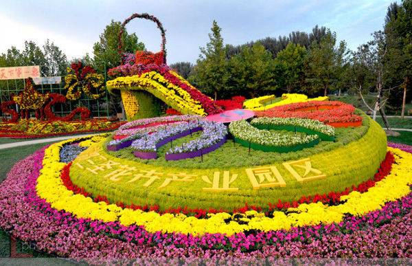 美丽顺义鲜花港里花争艳 - 大河杂谈 - 大河网眼遇-河南户外网|郑州