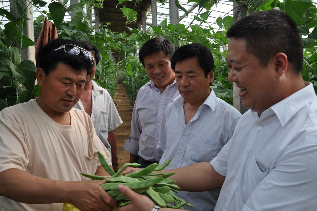 小刘庄村书记图片