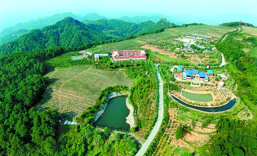 何埂 情山 圣水 中