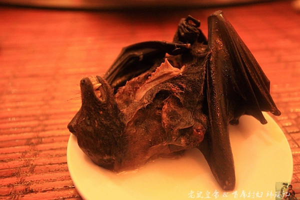 毛茸茸的蝙蝠是帕劳人的美食帕劳连载五
