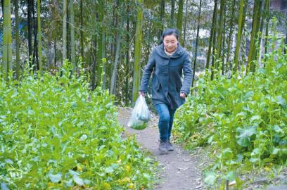 200余家媒体转载聚焦奔跑女孩
