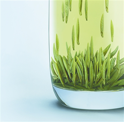 竹叶青茶杯里的视觉美与滋味美