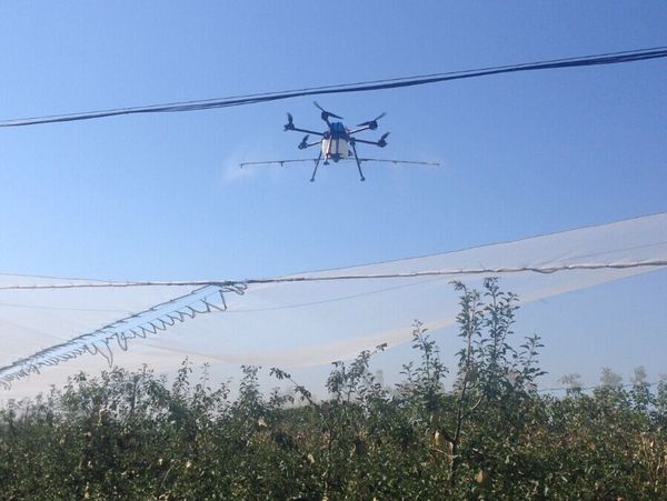 澄城果树喷洒农药用上无人机