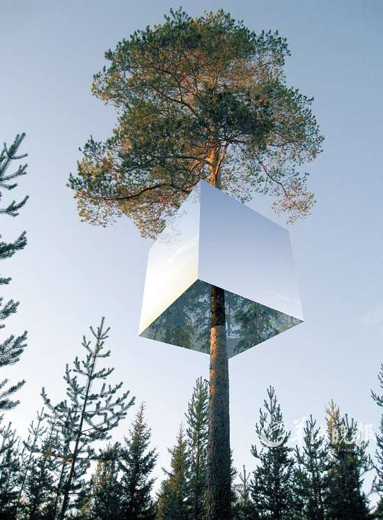 瑞典建世上最大树屋住一晚需487美元