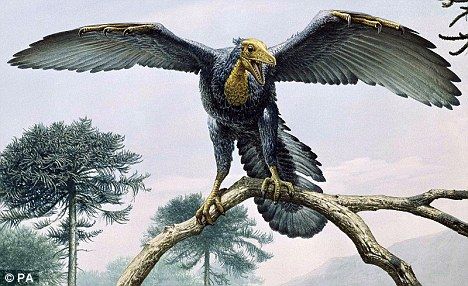 x射线研究发现始祖鸟羽毛并非纯黑色