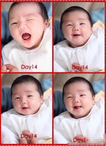 岁女星洪欣于2月4日为小11岁的内地演员张丹峰生下女儿张晞彤(yannes)