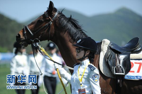 女骑警马术赛场靓丽登场 驯服惊马