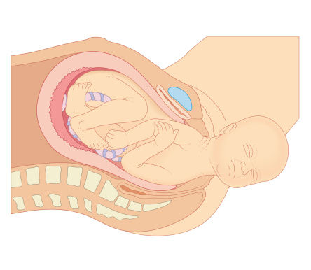 生宝宝的过程漫画图片