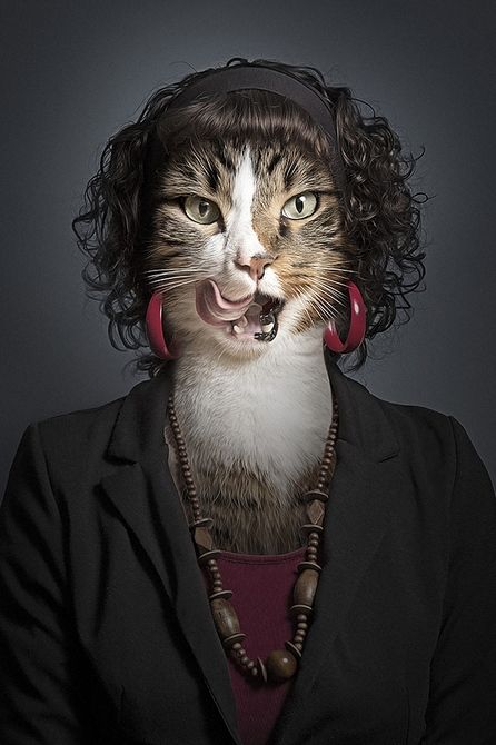 创意摄影猫面人