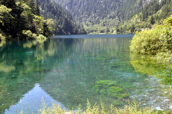 九寨沟下季节海图片