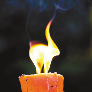 烛火世界_健康频道_凤凰网