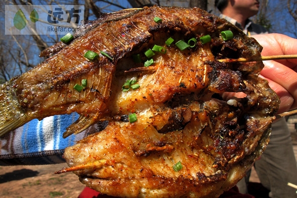 (邛海烤鱼