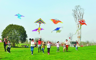 踏青赏花放飞风筝 和家人一起畅享合肥春光