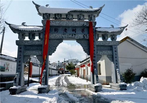 自驾游合肥汤池之果树老街