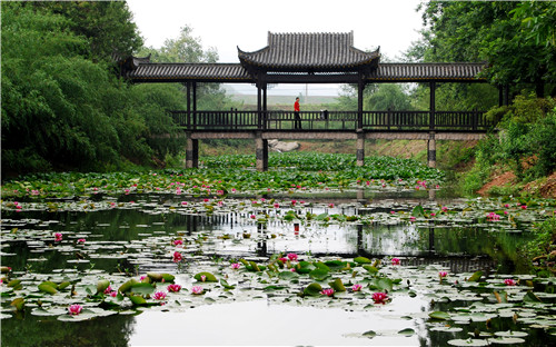 自驾游合肥汤池之 相思林公园