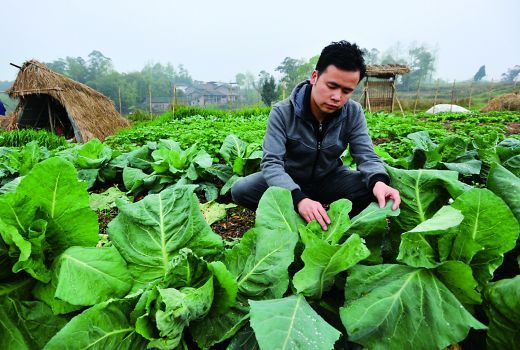 重庆李文强简介图片