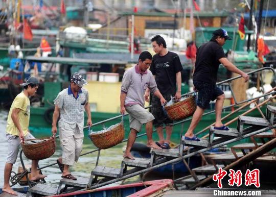 海南僑鄉瓊海春耕忙魚滿倉